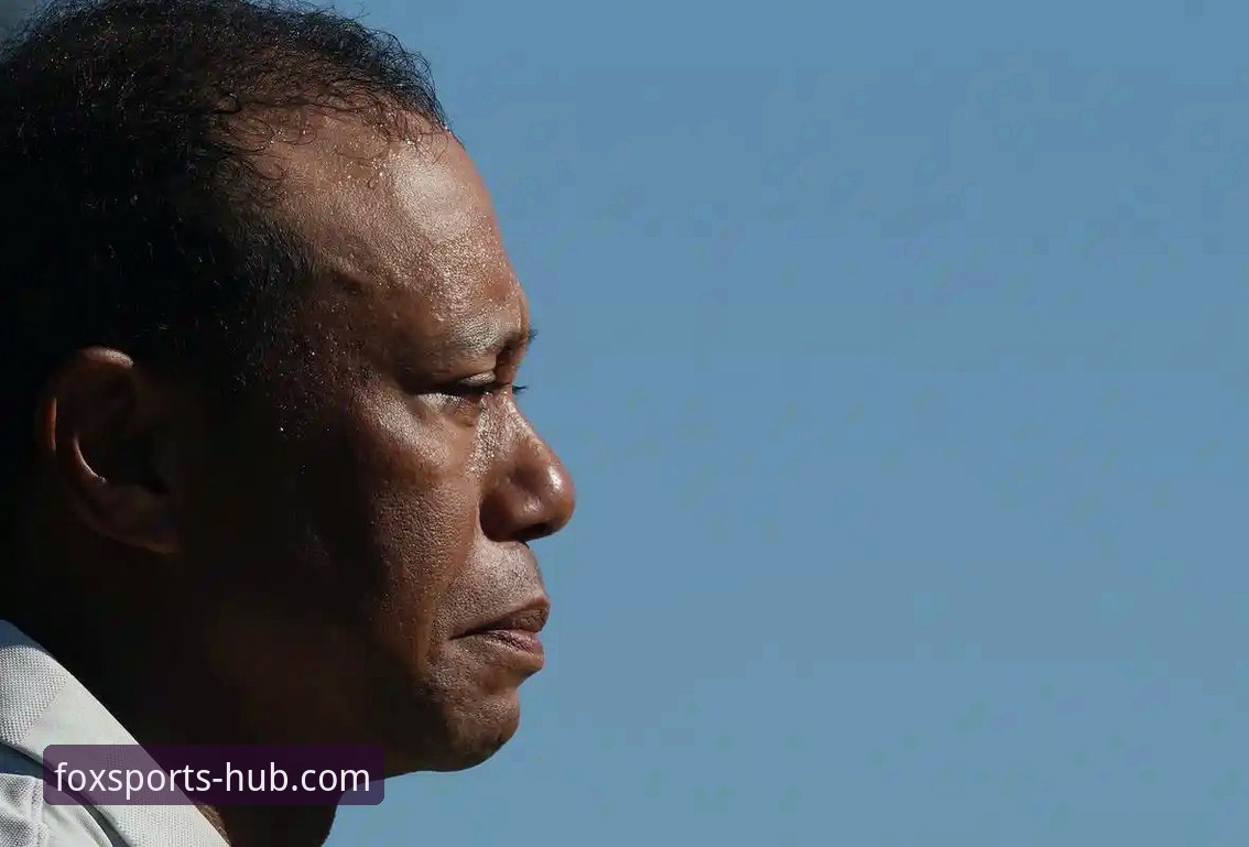 老虎伍兹药驾风波深度评测：从赛场传奇到法庭被告的坠落轨迹